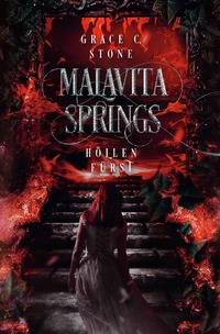 Vorderes Coverbild Malavita Springs
