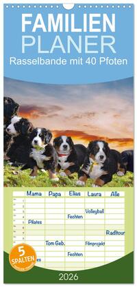 Vorderes Coverbild Familienplaner 2026 - Rasselbande mit 40 Pfoten mit 5 Spalten (Wandkalender, 21 x 45 cm) CALVENDO