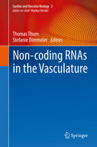 Vorderes Coverbild Non-coding RNAs in the Vasculature