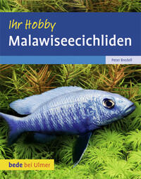 Vorderes Coverbild Malawiseecichliden