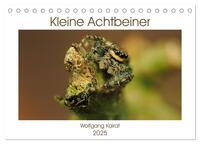Vorderes Coverbild Kleine Achtbeiner (Tischkalender 2025 DIN A5 quer), CALVENDO Monatskalender