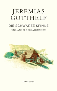 Vorderes Coverbild Die schwarze Spinne