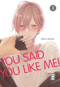 Vorderes Coverbild You Said You Like Me! 01