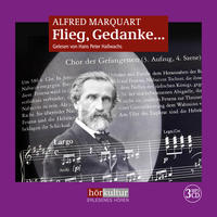 Vorderes Coverbild Flieg, Gedanke...