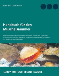 Vorderes Coverbild Handbuch für den Muschelsammler