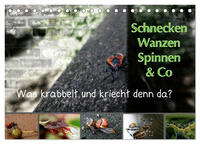 Vorderes Coverbild Schnecken, Wanzen, Spinnen und Co...Was krabbelt und kriecht denn da? (Tischkalender 2025 DIN A5 quer), CALVENDO Monatskalender