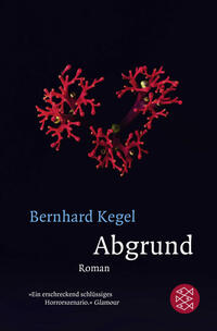 Vorderes Coverbild Abgrund