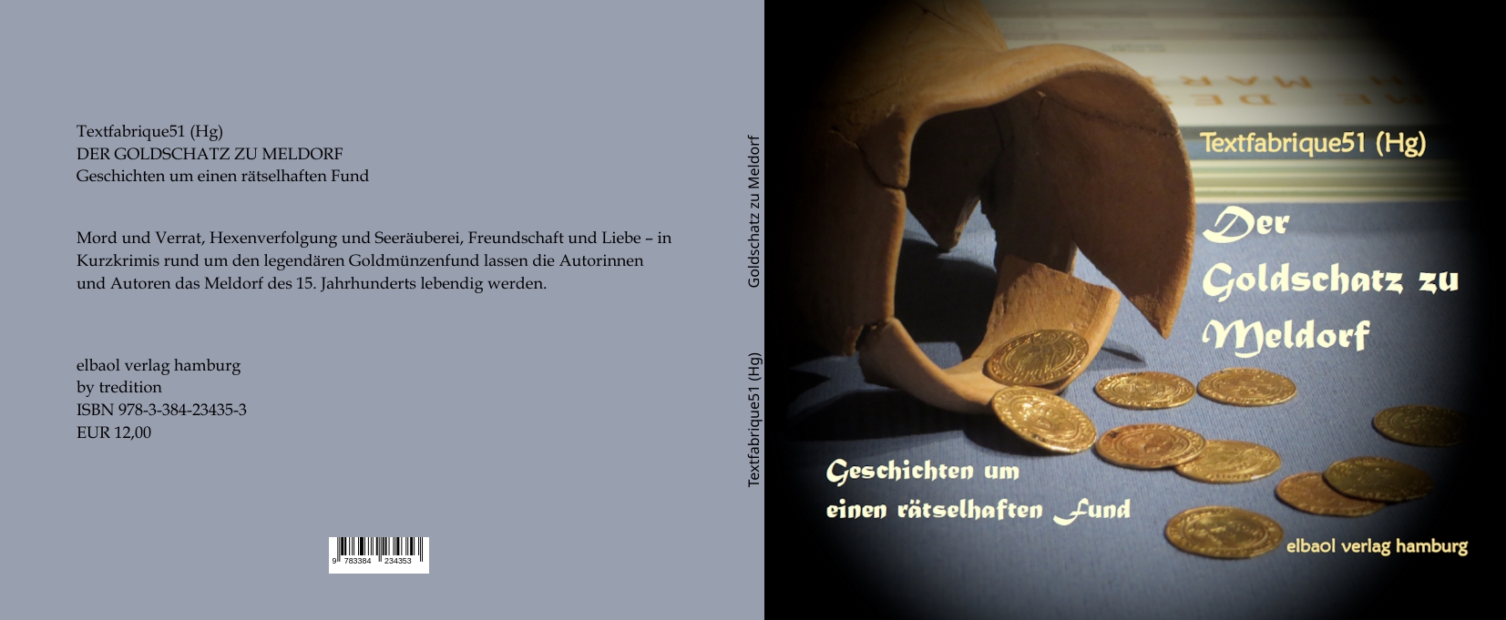 Gesamtes Coverbild Der Goldschatz zu Meldorf