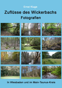 Vorderes Coverbild Zuflüsse des Wickerbachs - Fotografien