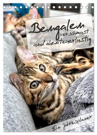 Vorderes Coverbild Bengalen - verschmust und abenteuerlustig (Tischkalender 2025 DIN A5 hoch), CALVENDO Monatskalender