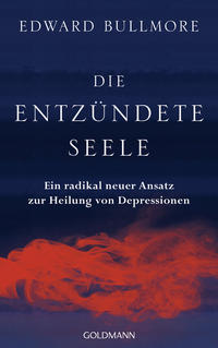 Vorderes Coverbild Die entzündete Seele