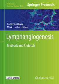Vorderes Coverbild Lymphangiogenesis