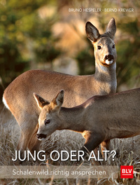 Vorderes Coverbild Jung oder alt?