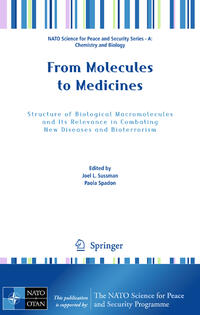 Vorderes Coverbild From Molecules to Medicines