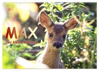 Vorderes Coverbild Max, der kleine Rehbock (Wandkalender 2025 DIN A2 quer), CALVENDO Monatskalender