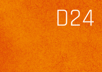 Vorderes Coverbild D24