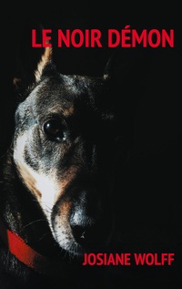 Vorderes Coverbild Le noir démon
