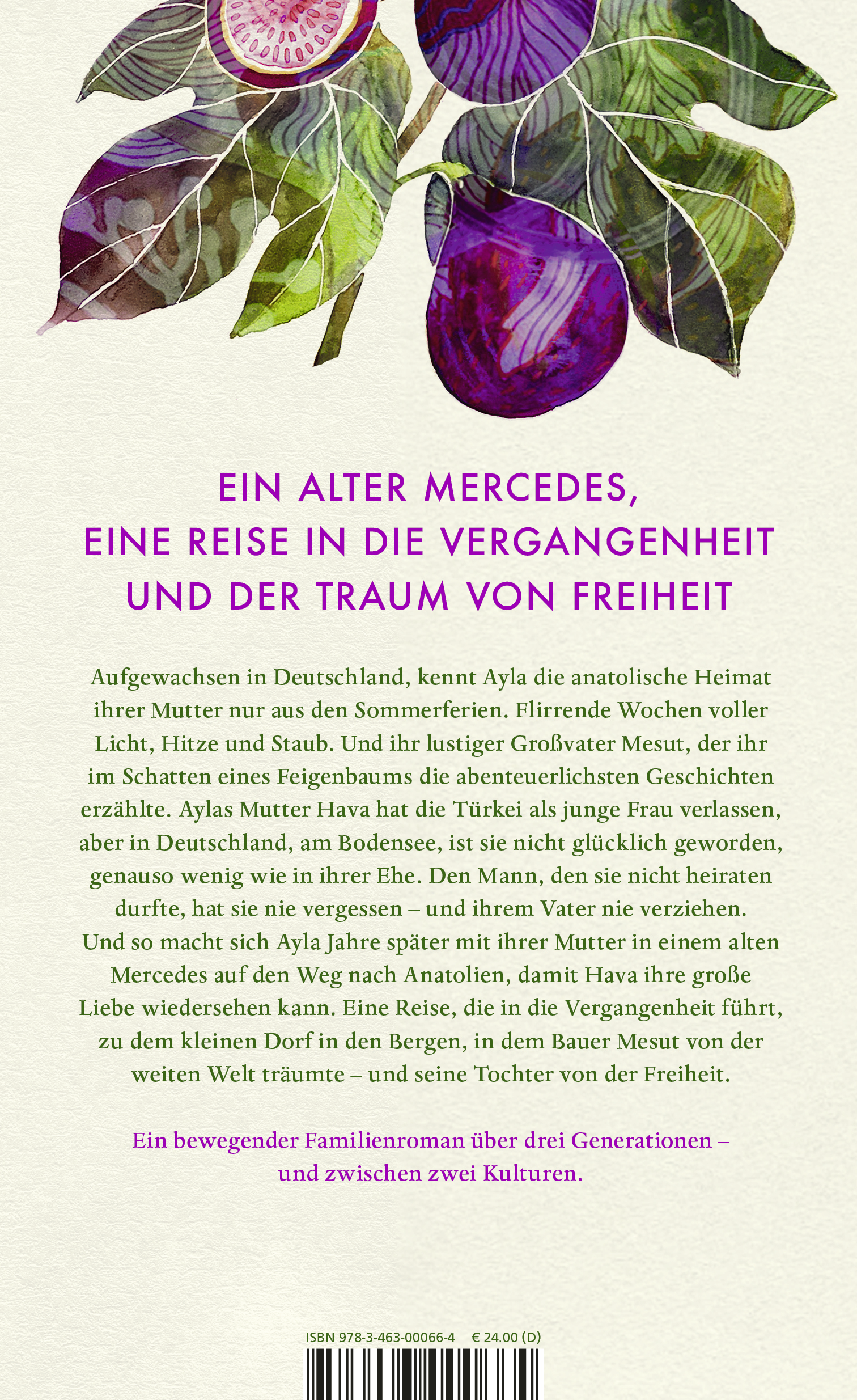 Rückseitencover Aylas Lachen