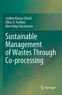 Vorderes Coverbild Sustainable Management of Wastes Through Co-processing