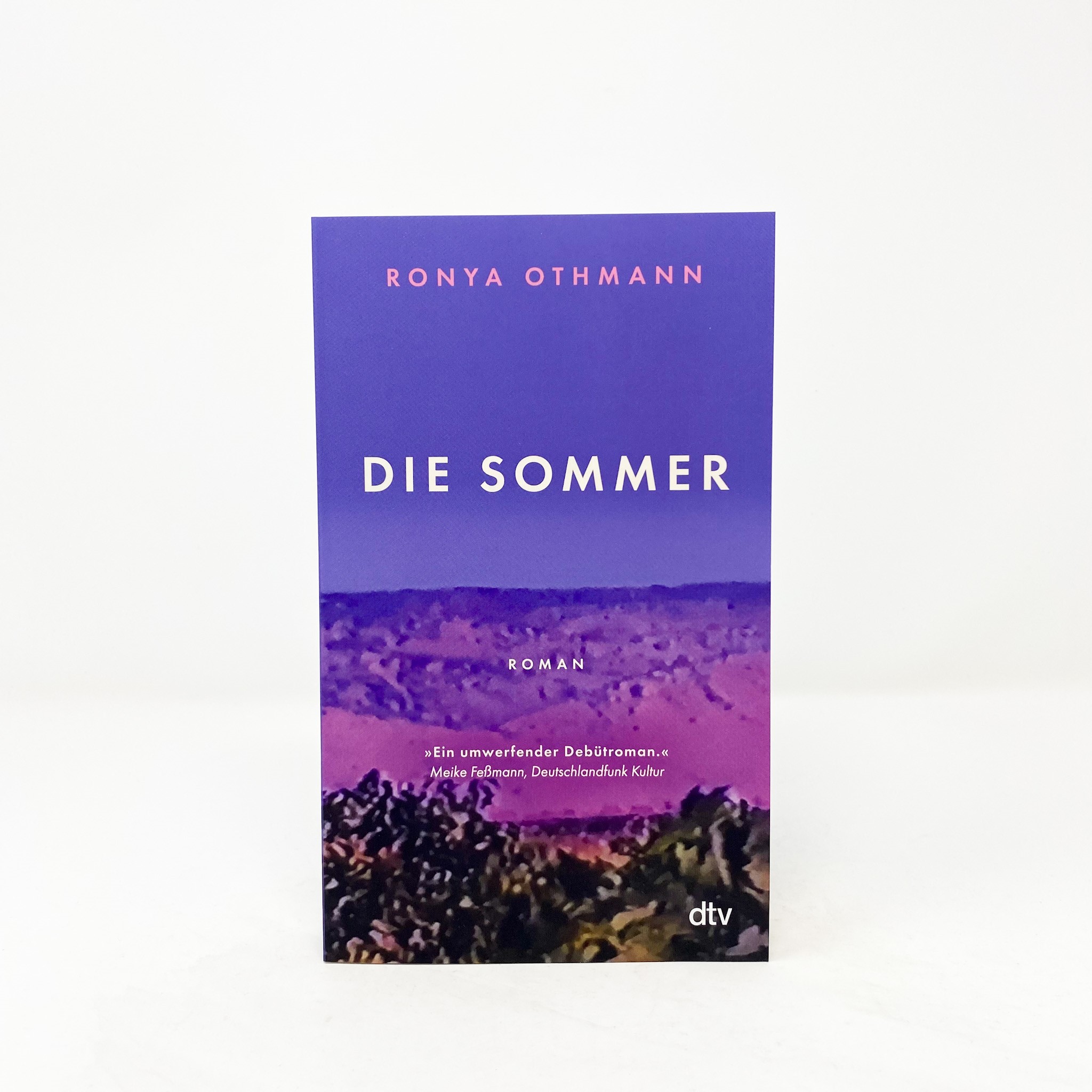 Beispielinhalt (Bild) Die Sommer