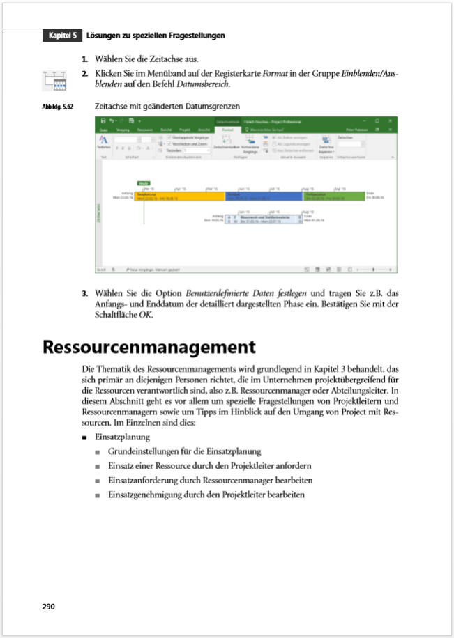 Beispielinhalt (Bild) Microsoft Project 2016