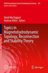 Vorderes Coverbild Topics in Magnetohydrodynamic Topology, Reconnection and Stability Theory