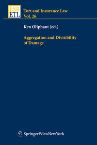 Vorderes Coverbild Aggregation and Divisibility of Damage