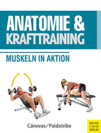 Vorderes Coverbild Anatomie & Krafttraining