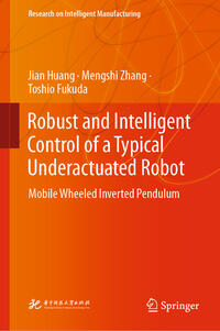 Vorderes Coverbild Robust and Intelligent Control of a Typical Underactuated Robot