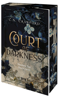 Vorderes Coverbild Court of Darkness