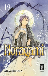 Vorderes Coverbild Noragami 19