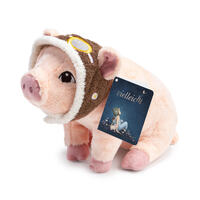 Vorderes Coverbild Vielleicht Plüschschwein