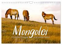 Vorderes Coverbild Mongolei - Endlose Steppe und wilde Natur. (Wandkalender 2025 DIN A4 quer), CALVENDO Monatskalender