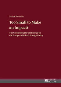 Vorderes Coverbild Too Small to Make an Impact?