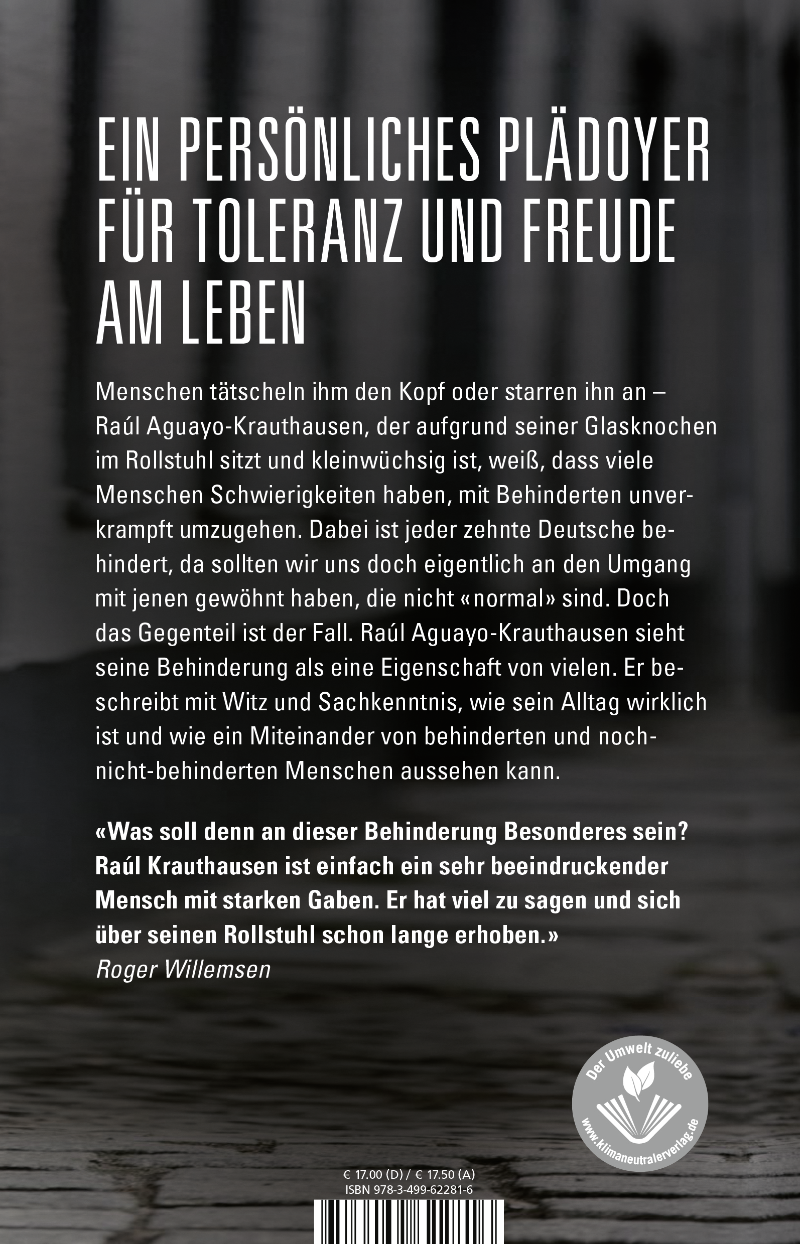 Rückseitencover Dachdecker wollte ich eh nicht werden