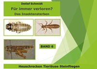 Vorderes Coverbild Für immer verloren? Band 6