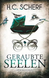 Vorderes Coverbild Geraubte Seelen