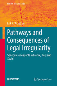 Vorderes Coverbild Pathways and Consequences of Legal Irregularity