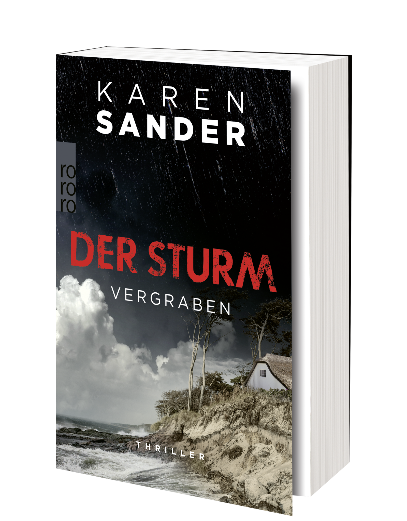 Anderes Coverbild Der Sturm: Vergraben