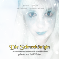 Vorderes Coverbild Die Schneekönigin