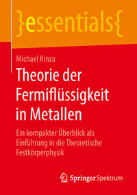 Vorderes Coverbild Theorie der Fermiflüssigkeit in Metallen