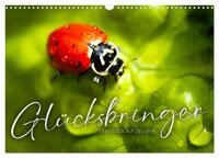 Vorderes Coverbild Glücksbringer - Dem Glück auf der Spur. (Wandkalender 2025 DIN A3 quer), CALVENDO Monatskalender