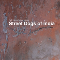 Vorderes Coverbild Street Dogs of India