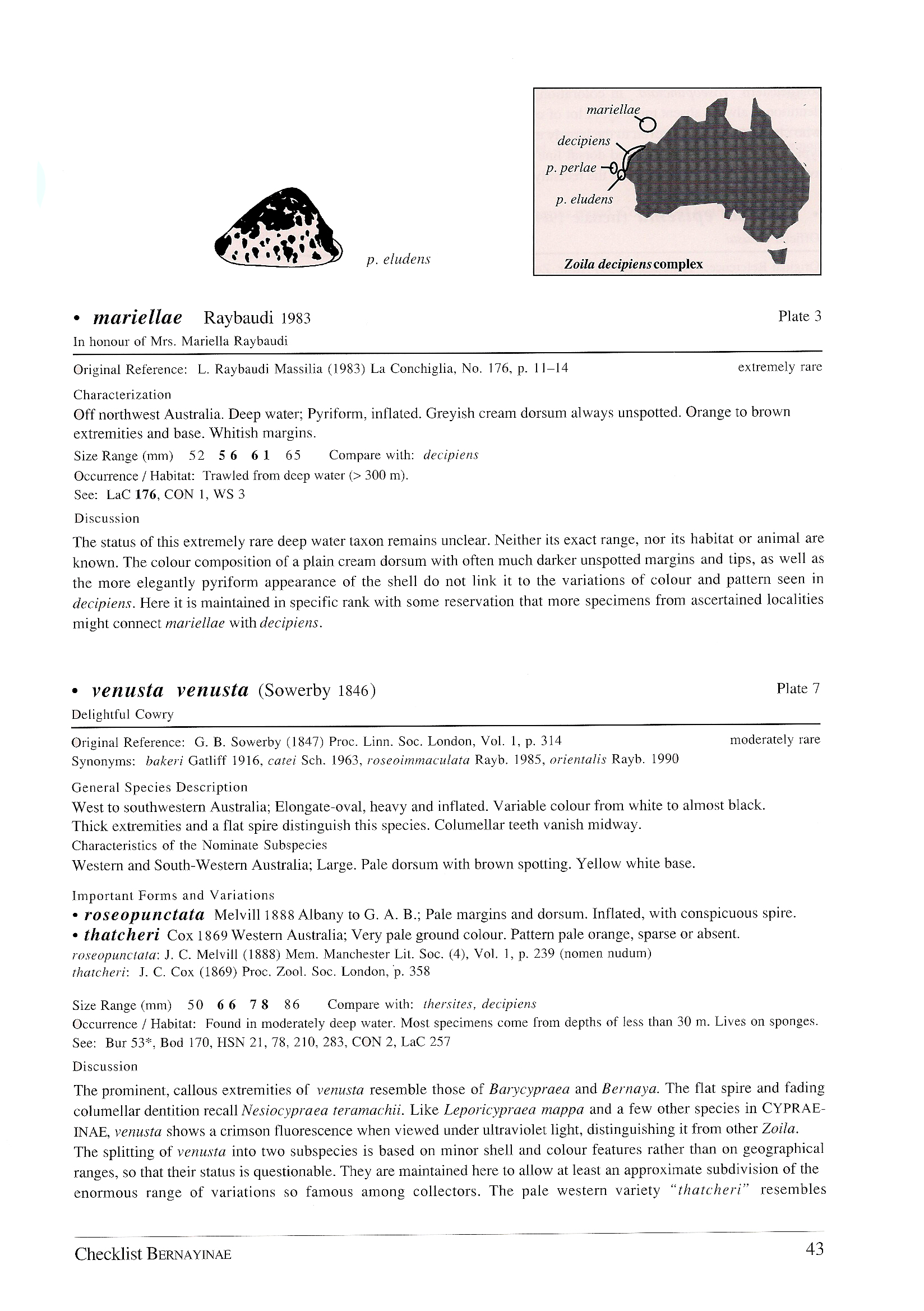 Beispielinhalt (Bild) A Guide to Worldwide Cowries