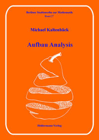 Vorderes Coverbild Aufbau Analysis