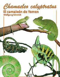 Vorderes Coverbild Chamaeleo calyptratus