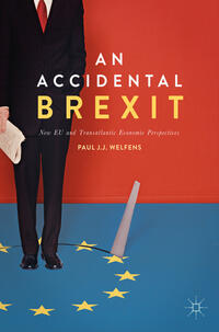 Vorderes Coverbild An Accidental Brexit