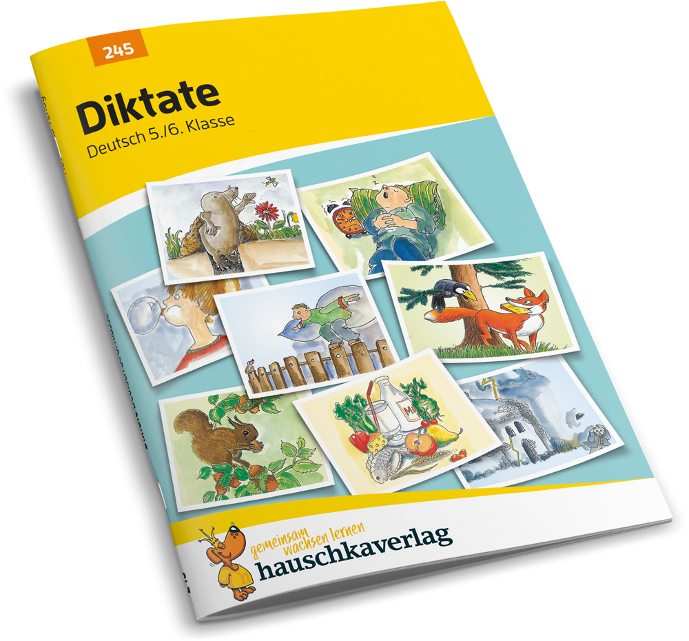 Beispielinhalt (Bild) Diktate 5./6. Klasse, A5-Heft