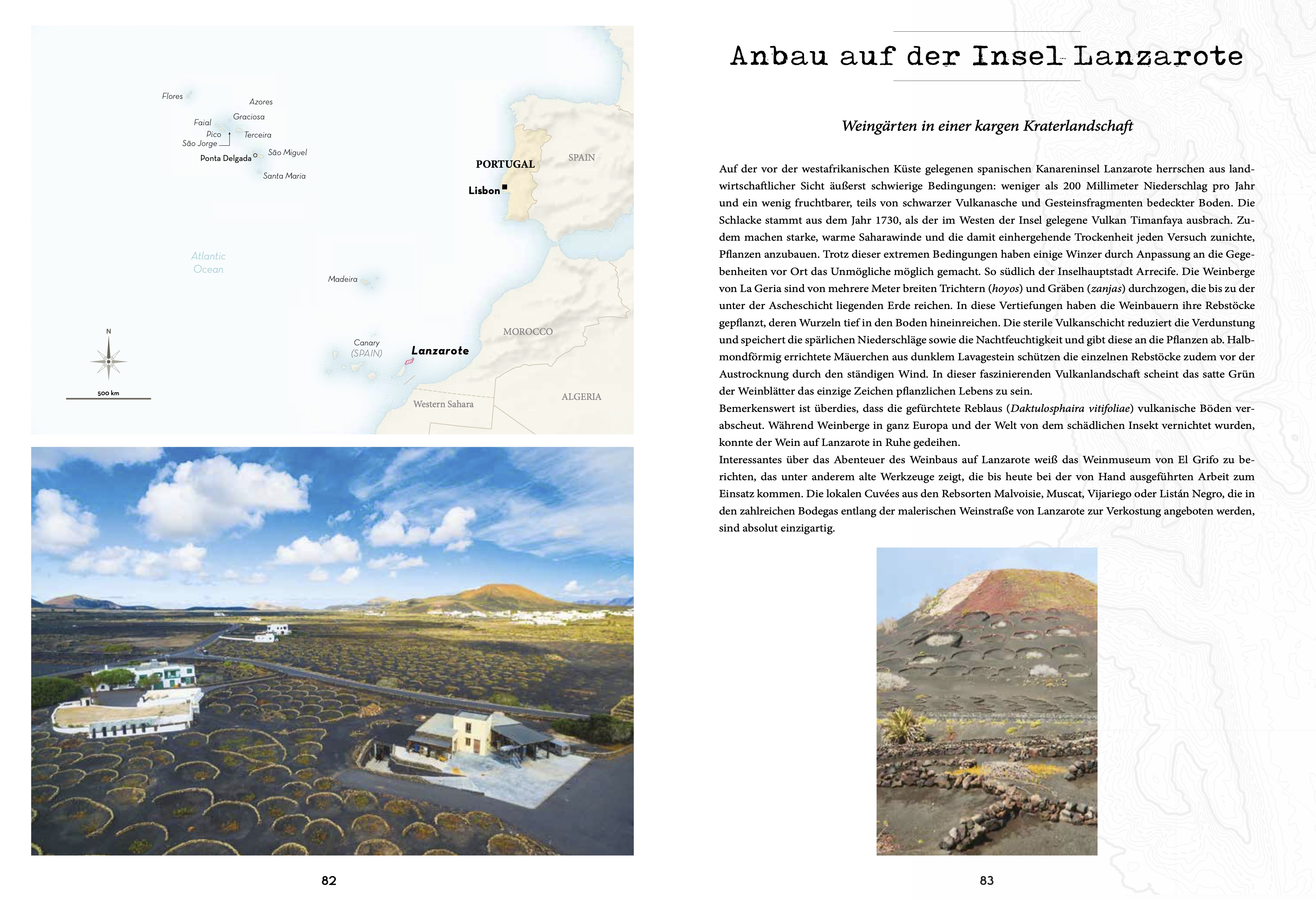 Beispielinhalt (Bild) Atlas der außergewöhnlichen Weine