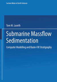 Vorderes Coverbild Submarine Massflow Sedimentation